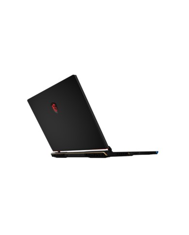 MSI Raider GE68 HX 14VIG-296FR - PC portable