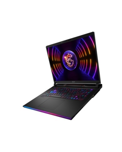 MSI Raider GE68 HX 14VIG-296FR - PC portable