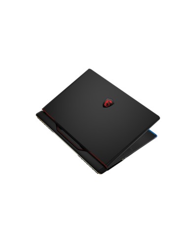 MSI Raider GE68 HX 14VIG-296FR - PC portable