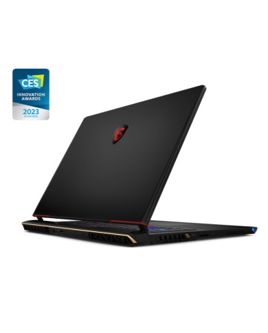 MSI Raider GE68 HX 14VIG-296FR - PC portable