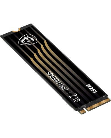 MSI SPATIUM M482 NVME 2TB - Disque SSD