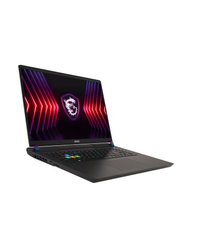 MSI Vector 17 HX A14VHG-617FR - PC portable MSI Vector 17 HX A14VHG-617FR - PC portable