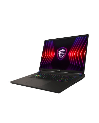 MSI Vector 17 HX A14VHG-617FR - PC portable MSI Vector 17 HX A14VHG-617FR - PC portable