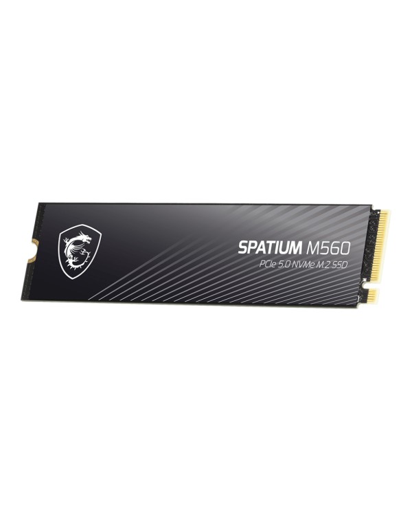 MSI SPATIUM M560 2To M.2
