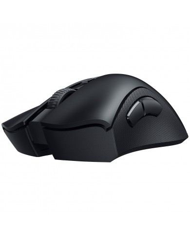 Razer Deathadder v2 Pro