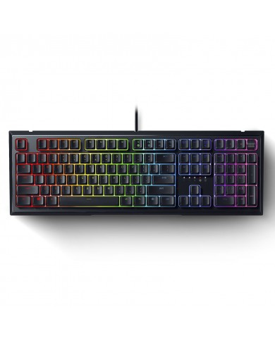 Razer Ornata v2