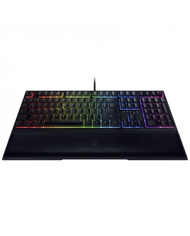 Razer Ornata v2