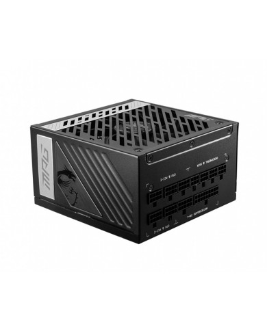 MSI MPG A1000G
