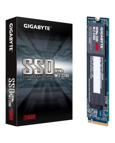 Gigabyte NVMe M.2 2280 NVMe 256 Go  - Pc Gamer Casa