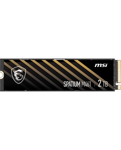MSI SPATIUM M461 2TB PCIe 4.0 NVMe M.2 - Pc Gamer Casa MSI SPATIUM M461 2TB PCIe 4.0 NVMe M.2 - Pc Gamer Casa