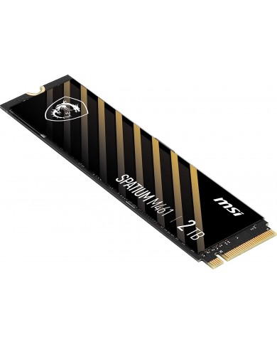 MSI SPATIUM M461 2TB PCIe 4.0 NVMe M.2 - Pc Gamer Casa MSI SPATIUM M461 2TB PCIe 4.0 NVMe M.2 - Pc Gamer Casa