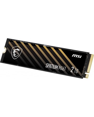 MSI SPATIUM M461 2TB PCIe 4.0 NVMe M.2 - Pc Gamer Casa MSI SPATIUM M461 2TB PCIe 4.0 NVMe M.2 - Pc Gamer Casa
