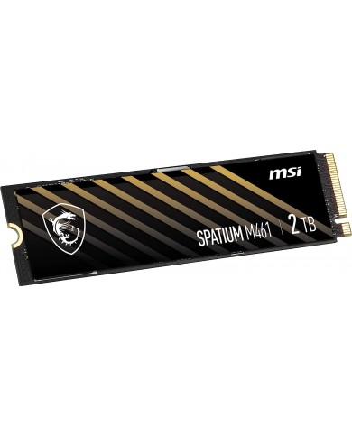 MSI SPATIUM M461 2TB PCIe 4.0 NVMe M.2 - Pc Gamer Casa MSI SPATIUM M461 2TB PCIe 4.0 NVMe M.2 - Pc Gamer Casa
