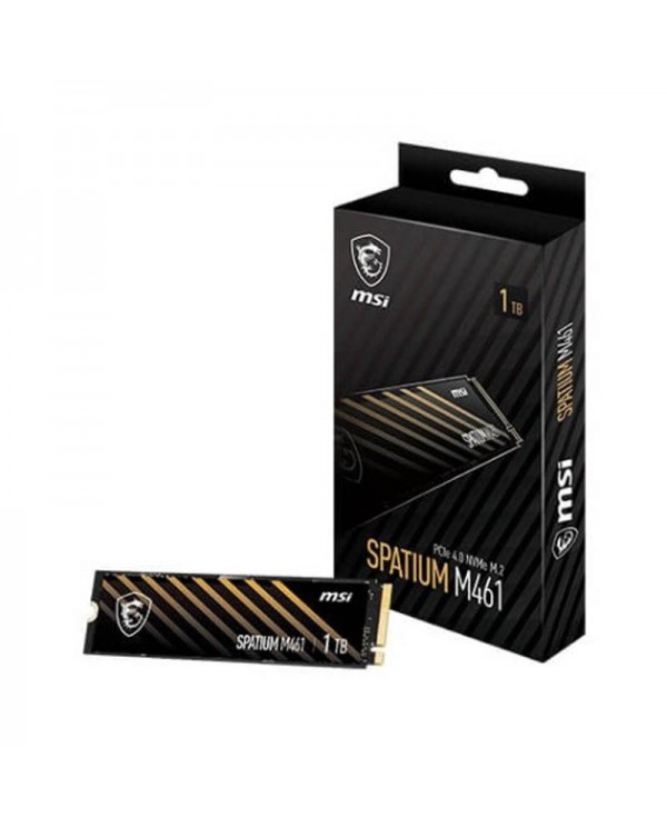 MSI SPATIUM M461 PCIe 4.0