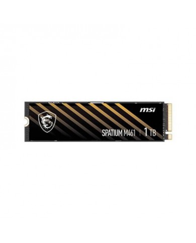 MSI SPATIUM M461 PCIe 4.0   - Pc Gamer Casa